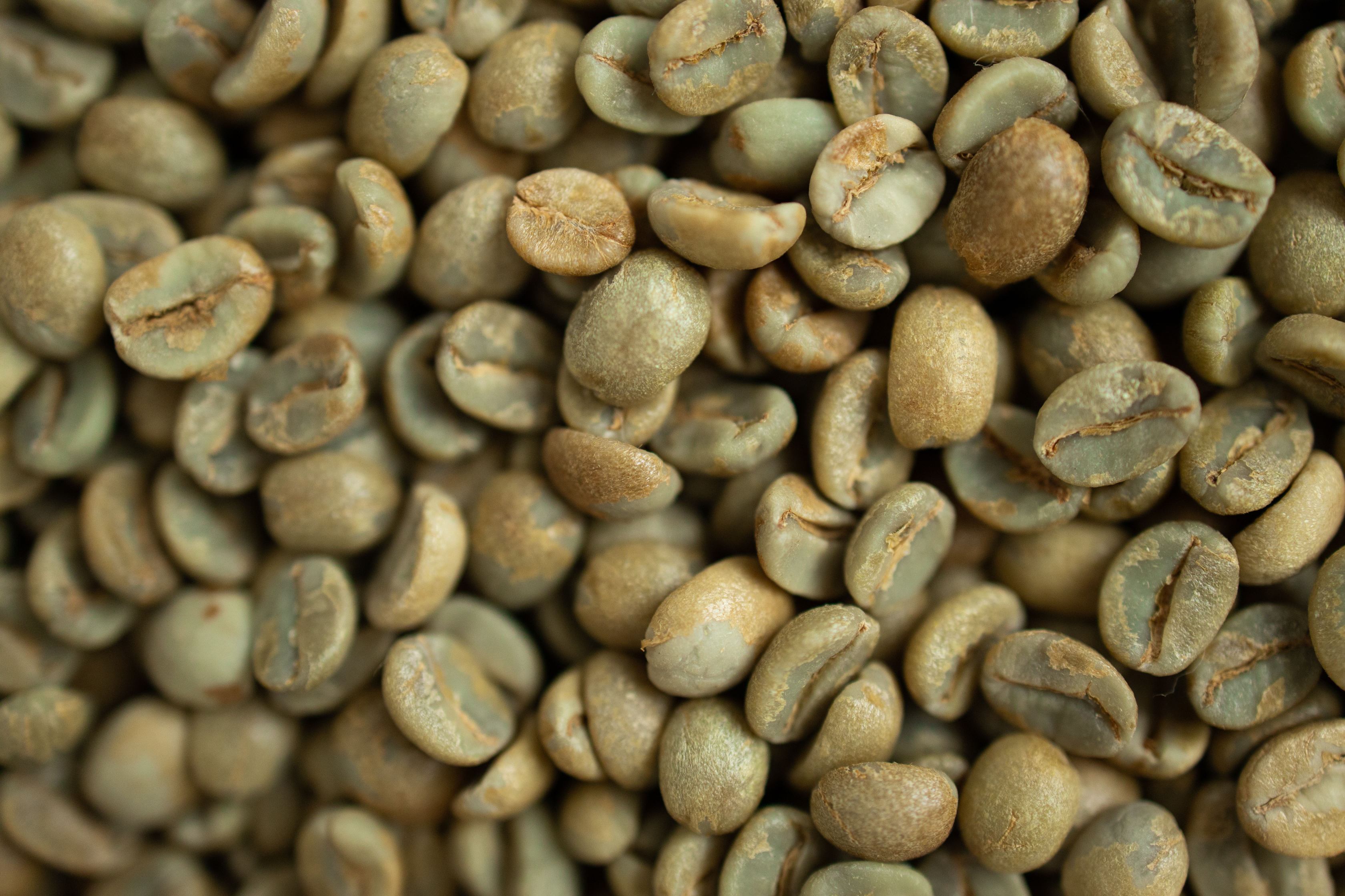 A closeup view of green coffee beans